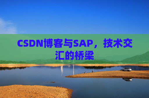 CSDN博客与SAP，技术交汇的桥梁